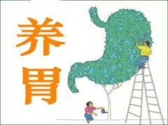 胃炎總治不好，明日葉帶給你健康