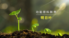 李時珍:明日葉含有類黃酮、膽堿、香豆素等多種活性成分